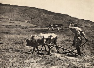 Imperiumin rakentaminen fasistisella aikakaudella: altopian kyntäminen, 09.05.1936 (m/v kuva) tekijältä Modestino Baldinetti