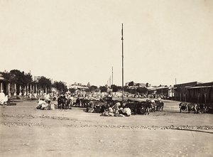 "Imperiumin rakentaminen" fasistisella aikakaudella: Asmaran muinainen tori, 9.5.1936 (m/v kuva) tekijältä Modestino Baldinetti