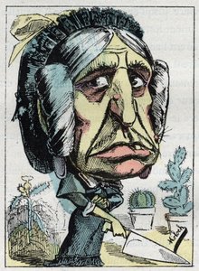 Allegoria "" äitipuoli "" (Belle mere) Touchatoutin "" Le Trombinoscope" -kirjassa, B. Molochin karikatyyri vuodelta 1882 (1849-1909). Yksityinen kokoelma. tekijältä Moloch