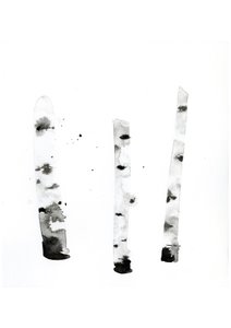 Ghost Birch, 2022 (vesiväri Langton, 300 g/m² kylmäpuristettu paperi). tekijältä Monica Perez Vega