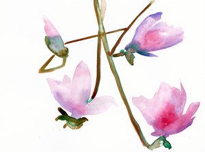 Magnolia 1, 2022 (vesiväri Langton, 300 g/m² kylmäpuristettu paperi).