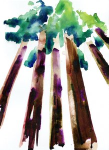 Sequoia, 2021 (vesiväri Langton, 300 g/m² kylmäpuristettu paperi). tekijältä Monica Perez Vega