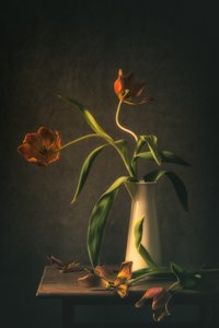Tunnelmallinen tulppaanien asetelma