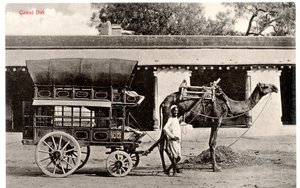 Camel Dak, n.1911-12 (seepia valokuva). tekijältä Moorli Dhur and Sons