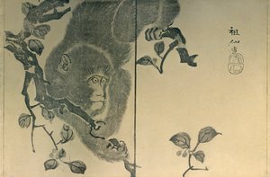 Apina, 1815, 1924.