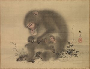 Apinat, 1700-luvun loppu - 1800-luvun alku.
