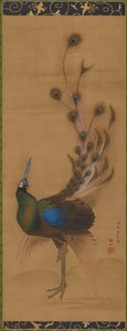 Peacock, 1786. tekijältä Mori Sosen