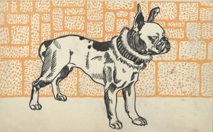Pitbullterrieri, 1912.