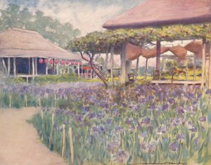 Iris Garden, 1903 tekijältä Mortimer L Menpes
