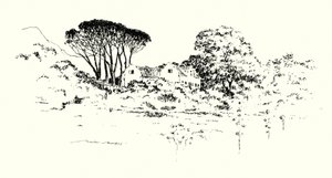 Cecil J Rhodesin maatila (litho) tekijältä Mortimer Ludington Menpes