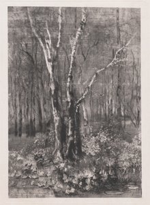 Metsä puistossa lähellä Monzaa tekijältä Mose Bianchi