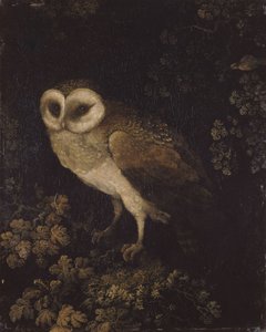 Pöllö, 1780-1790.