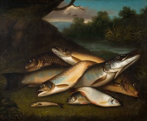 Peix, 1790. finlandès