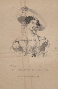 Kambrian kukka, litho C.G. Lapset, 1830