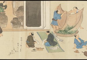 Kuvituksia Uji-teen tuotannosta tekijältä Motonari Sait?