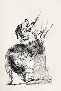 Puoliverinen paimenkoira hyväilee isäntäänsä, Charles Darwinin teoksesta "The Expression of the Emotions in Man and Animals", 1872. tekijältä Mr. A. May