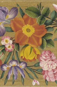 Sivu Pietarin albumista, Intia, 1727 (väri kultapohjalla) tekijältä Muhammad Sadiq