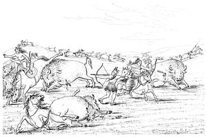 Alkuperäisamerikkalaiset metsästävät puhvelia, 1841.