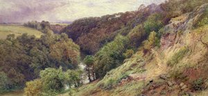 Dell Devonshiressa tekijältä Myles Birket Foster