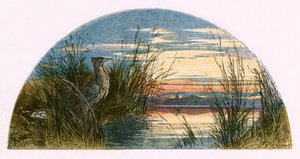 Kuvitus "Autioitu kylä" tekijältä Myles Birket Foster