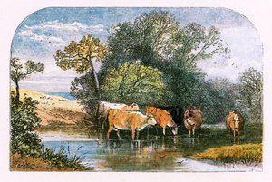 Kuvitus "Autioitu kylä" tekijältä Myles Birket Foster