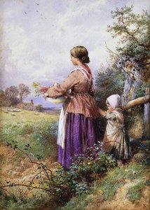 Kotiin paluu, tekijältä Myles Birket Foster