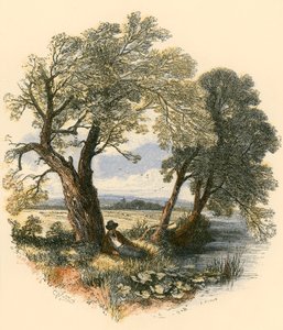 Sapatin kävelyt tekijältä Myles Birket Foster