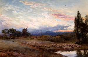 Lammas kastelee auringonlaskun aikaan (akvarelli) tekijältä Myles Birket Foster