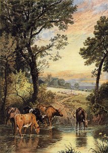 Kesä Ilta tekijältä Myles Birket Foster