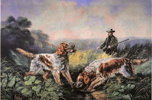 American Field Sports: Haku tekijältä N. and Ives J.M. (after) Currier