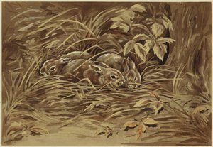 Pienet jäniset (litho)