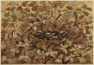 Mustarastas kotona (litho)
