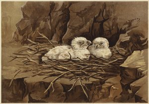 Kotkan eyrie (litho)