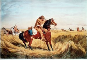 Tarkistus - pidä etäisyyttä (värillinen painatus)