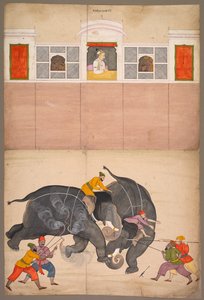 Kaksi norsua taistelevat pihalla ennen Muhammad Shahia, n. 1730-40.