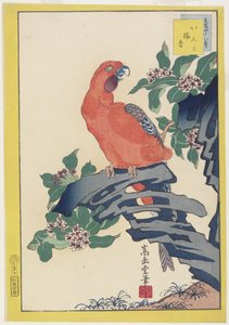 Pink Parrot on Rock, 1859 (värillinen puupalikkaprintti)