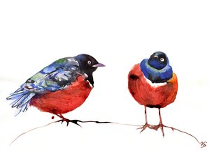 Chitchat, 2013, (muste paperille)