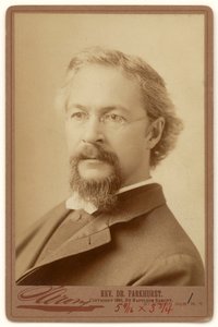 Charles Henry Parkhurst tekijältä Napoleon Sarony