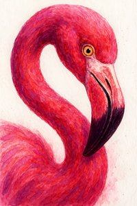 Tyylikäs vaaleanpunainen flamingo tekijältä Natalie Bruns