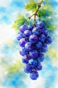 Violetti viinirypäle - vesivärimaalaus tekijältä Natalie Bruns