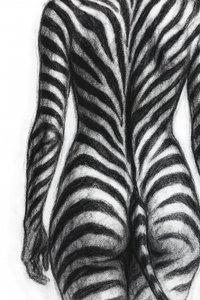 Zebra-raidallinen lomake