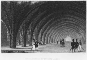 The Cloisters, Fountains Abbey (kaiverrus)