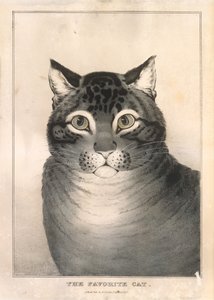 Suosikkikissa, 1838-46, 1838-46.