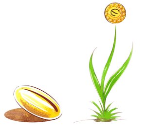 Seed and shoot - esimerkki taloudellisesta allegoriasta tekijältä Neale Osborne