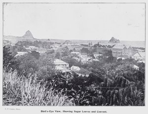 New Plymouth, Uusi-Seelanti: lintuperspektiivistä, sokerileipiä ja luostari (m/w kuva) tekijältä New Zealand Photographer