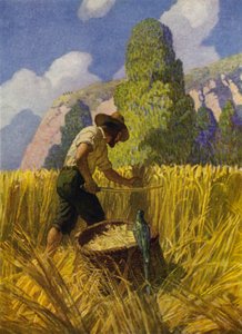 Kuvitus Robinson Crusoelle (väri litho) tekijältä Newell Convers (after) Wyeth