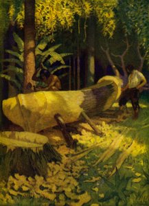 Kuvitus Robinson Crusoelle (väri litho) tekijältä Newell Convers (after) Wyeth