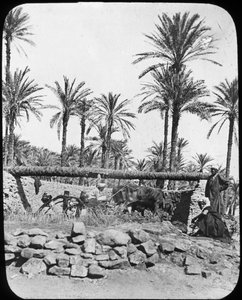 Vesipyörä, Egypti, c1890