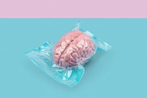 Brain, 2020 (kuva)