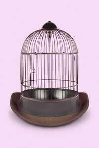 Mental Cage, 2020 (kuva)